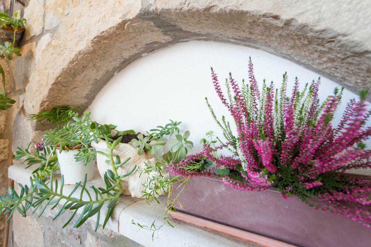 Holiday Home Lavanda Grubisic Tučepi Eksteriør billede