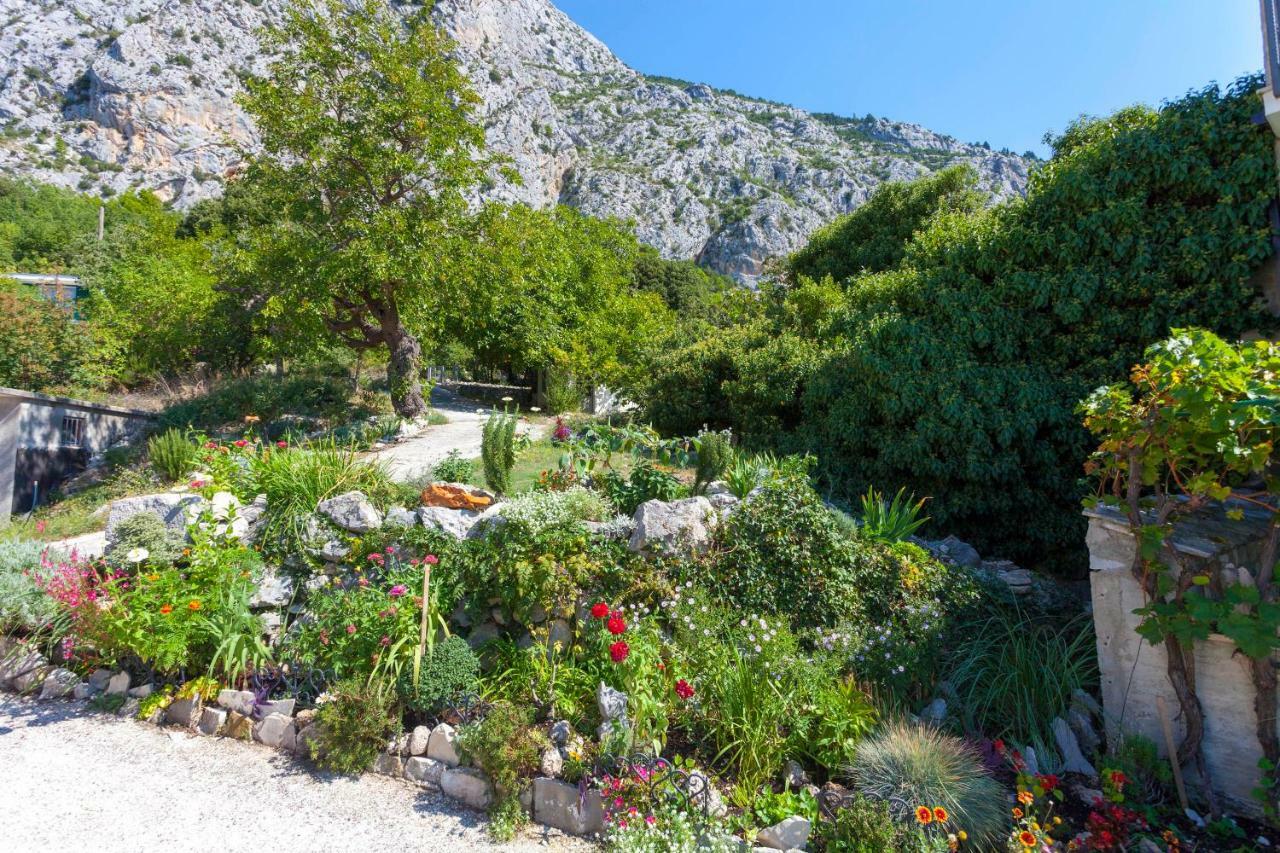 Holiday Home Lavanda Grubisic Tučepi Eksteriør billede